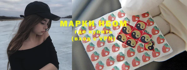 ПСИЛОЦИБИНОВЫЕ ГРИБЫ Верея