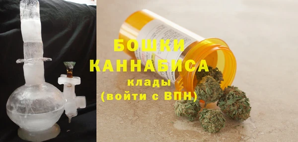 ПСИЛОЦИБИНОВЫЕ ГРИБЫ Верея