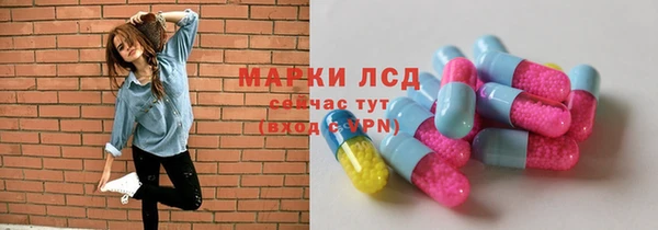 ПСИЛОЦИБИНОВЫЕ ГРИБЫ Верея