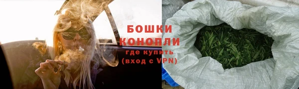 ПСИЛОЦИБИНОВЫЕ ГРИБЫ Верея