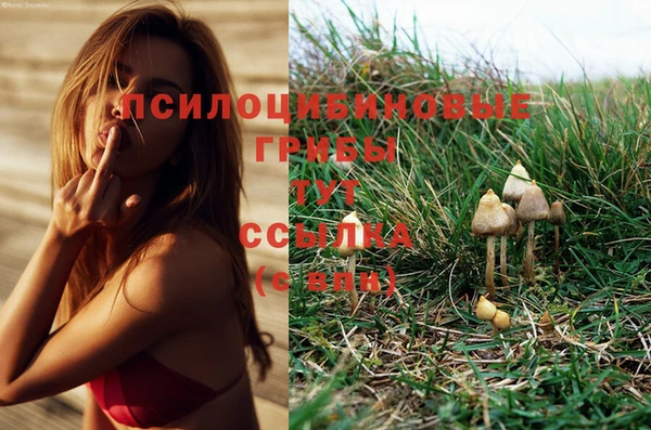 дурь Володарск