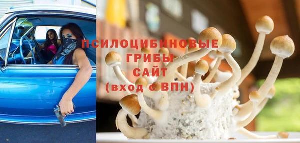 ПСИЛОЦИБИНОВЫЕ ГРИБЫ Верея
